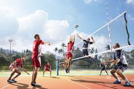 training volleybal