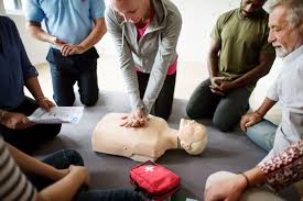 bhv training